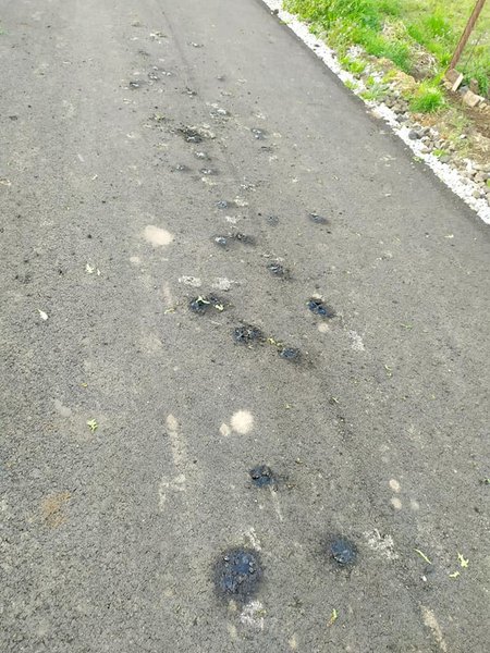 Ремонт дороги