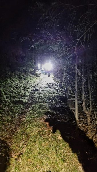 Пошуки туристів в Низьких Татрах напад ведмедя, ведмідь, напав ведмідь, туристи, туризм, Низькі Татри, Словаччина