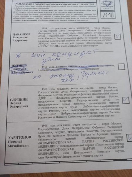 выборы путина рф, выборы, бюлллетень