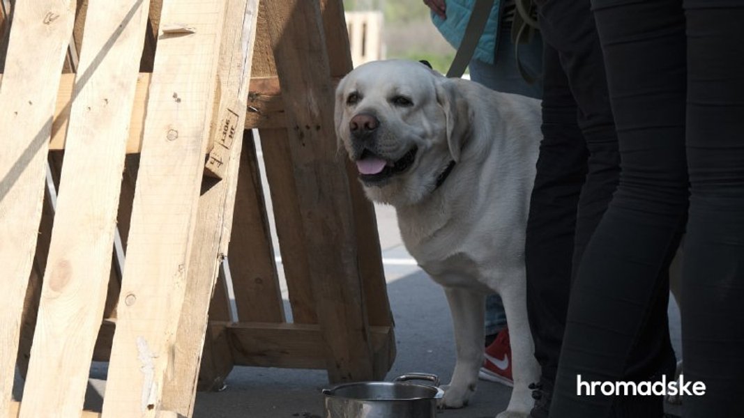 Жителі Маріуполя самостійно евакуювалися в Запоріжжя