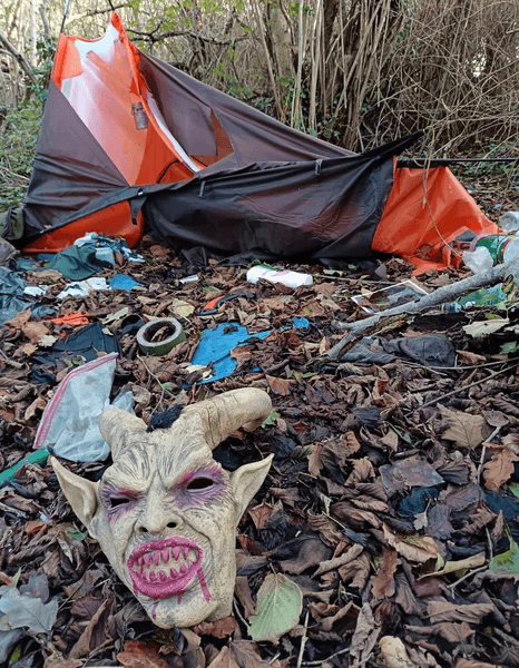 Дивна знахідка чоловіка посеред лісу