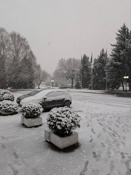 сніг у луцьку