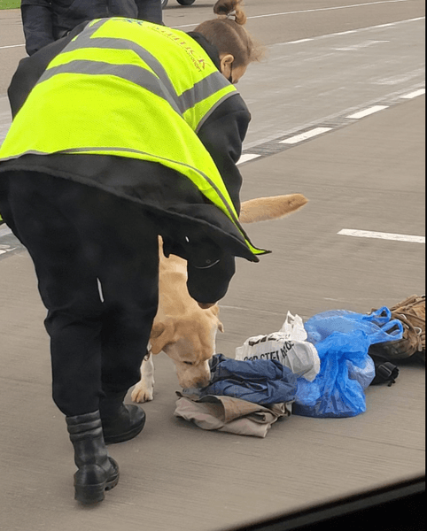 минск, сапери, собака, пошук вибухівки