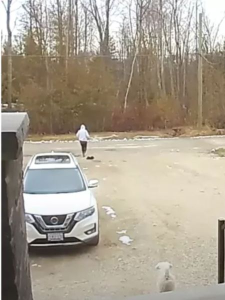 Мужчина попросил брата выгулять свою собаку, а потом увидел странную сцену на скрытой камере дверного звонка