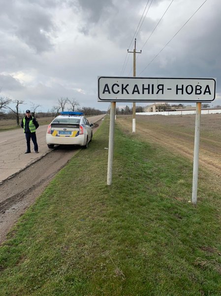 гибель журавлей в аскании новой