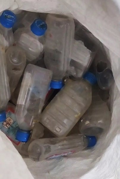 Крыса выпила алкоголь, крыса выпила 60 бутылок, спиртное, грызуны в полицейском участке, уничтожили улики, нелегальный алкоголь