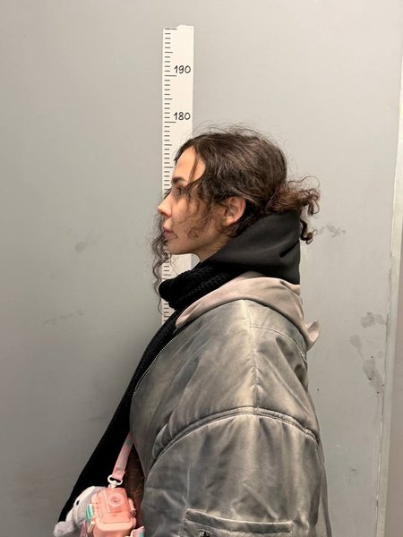 Di.Rubens блогер задержание в россии