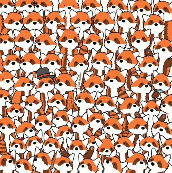 Визуальная головоломка, головоломка, тест, загадка, лисицы, красные панды, художник Гергели Дудаш, соцсети, внимательность