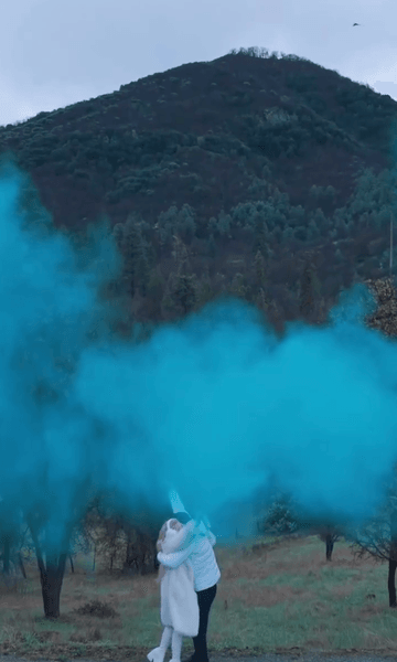 Аліна Гросу