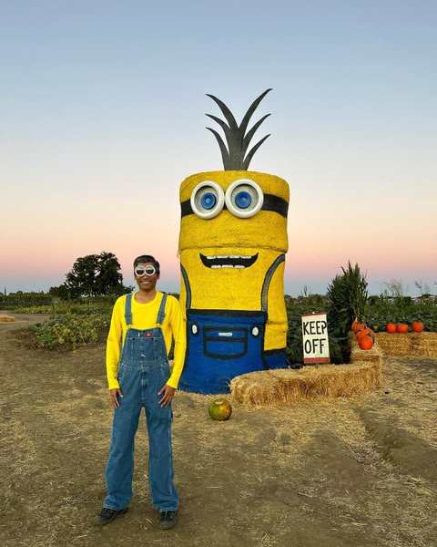 миньон, сша, фигура, мужчина