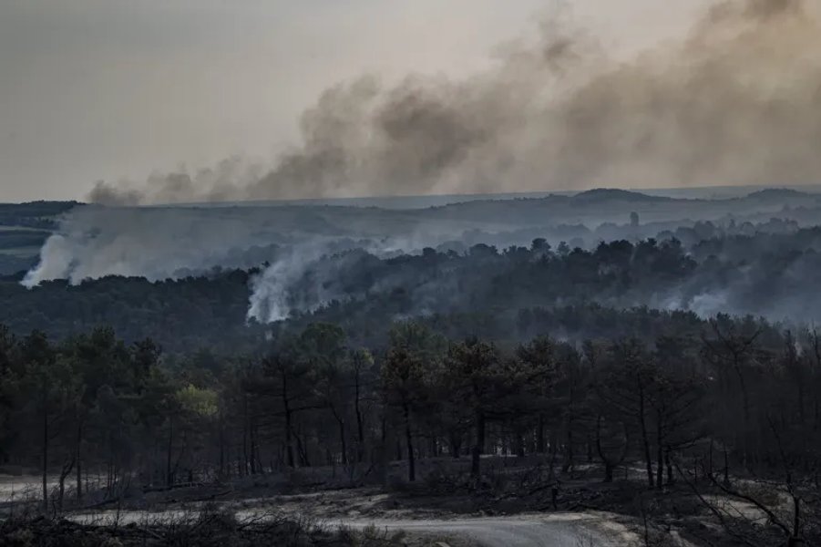 Греция, пожары, лес