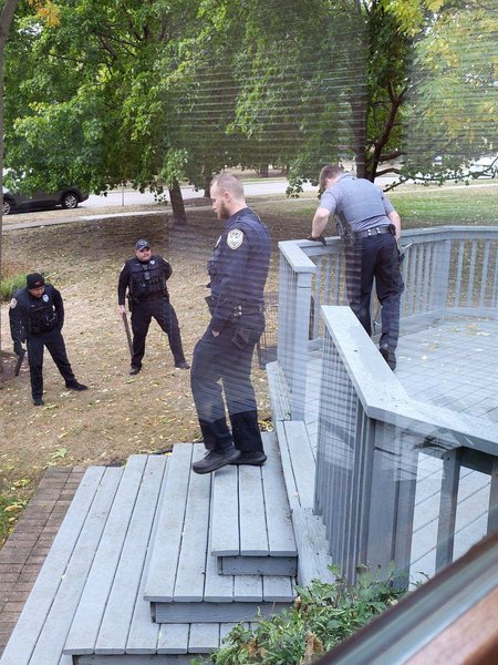 Большой кот, найденный в США, оказался диким зверем, курьезы, приколы, находки, интересные истории, странные случаи из жизни