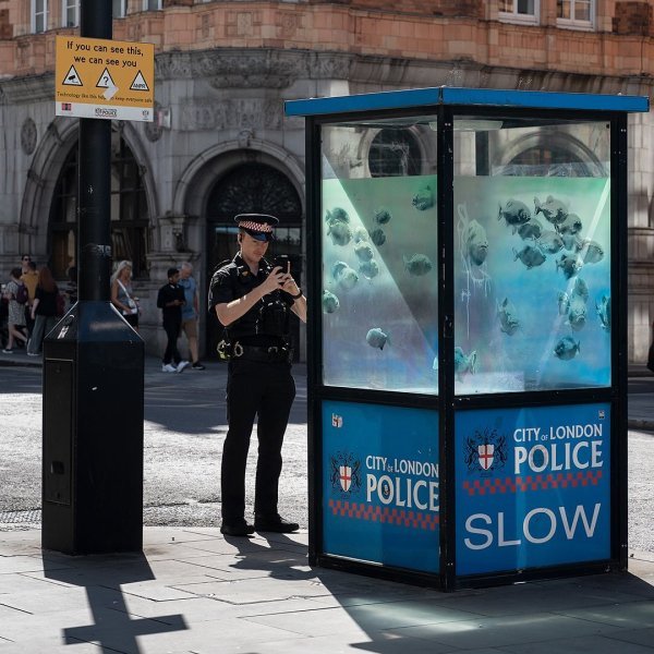 Банкси пираня Лондон Банкси пираня Лондон