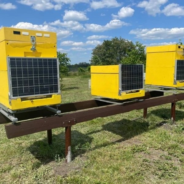 новости киева, киевская область, ІТ-пасека что это, ІТ-пасека фото, ІТ-пасека киевская область, улья