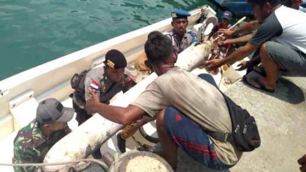 Морське крило