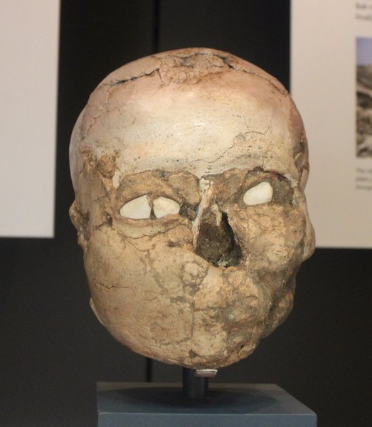 череп, Иерихон, Палестина