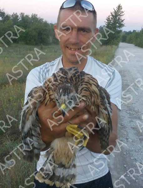 Андрей Рубан