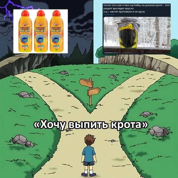 мем кротовуха росія