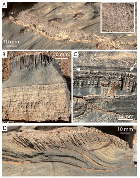 намібія, пустеля намібії, намібія пустеля