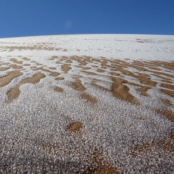 Сахара, Пустыня, Снег, Иней, Верблюды, Фотограф