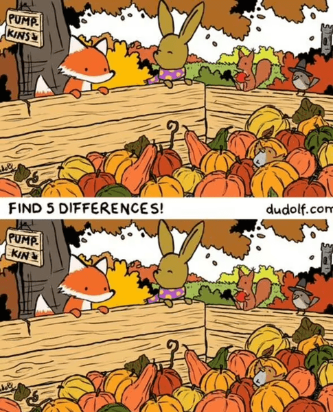 Визуальная головоломка, головоломка, тест, задача, найди 5 отличий, тыквы, осенний сад, тренировка зрения, зрительная память
