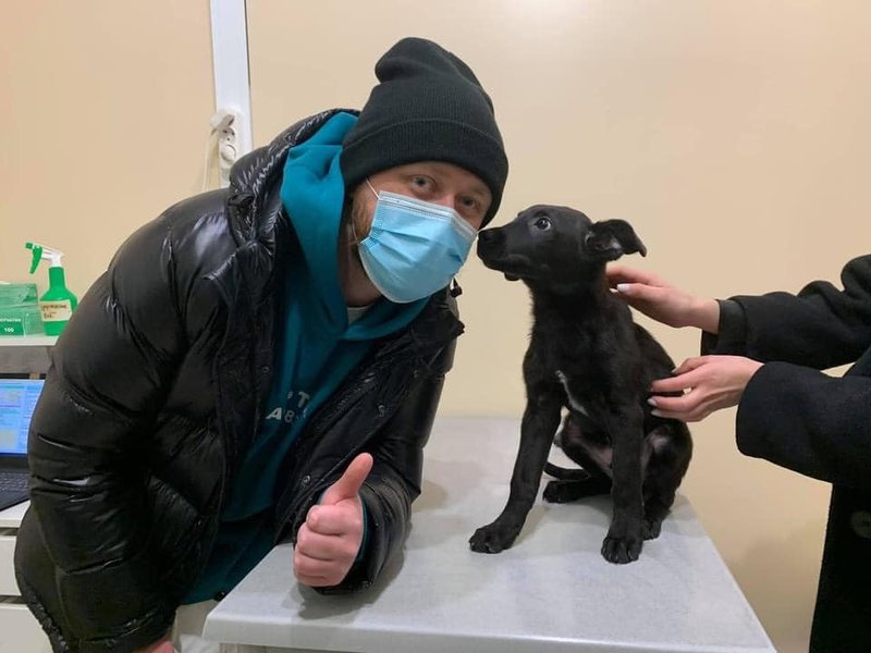 щенок, щенка, избили, киев, киевлянин, шевченковский, дело, жестокое обращение, животные