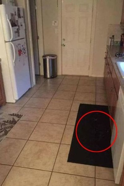 Визуальная головоломка, тест, задача, загадка, проверка зрения, проверка на внимательность, вирусное фото, соцсети, тренировка памяти