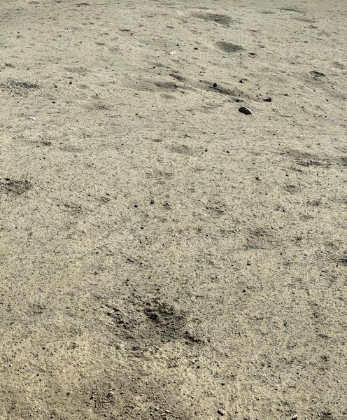 Чан'е-6, Місяць, Китай