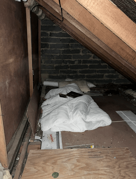 Старый чердак, находка на чердаке, необычная находка, старинный чердак, новый дом, покупка нового дома, находка в новом доме, постель на чердаке, житель на чердаке