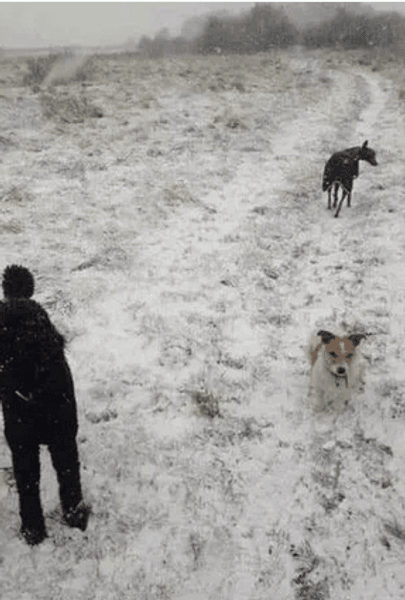 Оптична ілюзія