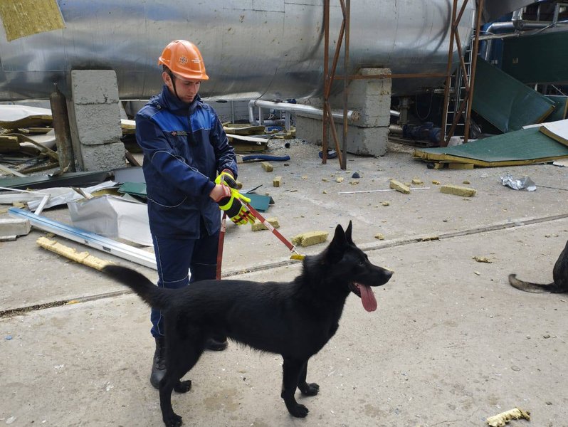 ГСЧС — кинолог и служебная собака
