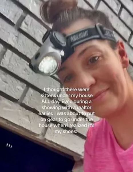 Амми Диз из США искала брошенных котят под своим домом, а нашла кое-что другое, курьезы, приколы