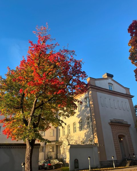 Готель Білан