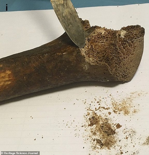 кости, мощи, святой Иаков