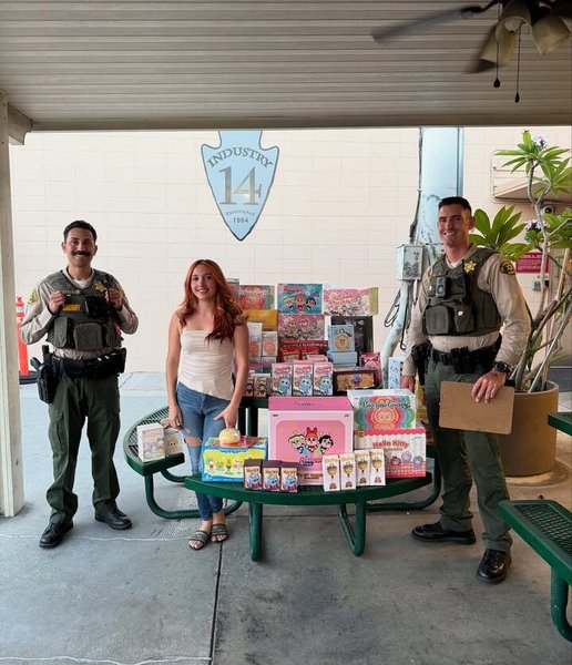 Полиция вернула Лабубу владельцам игрушечного магазина после ограбления