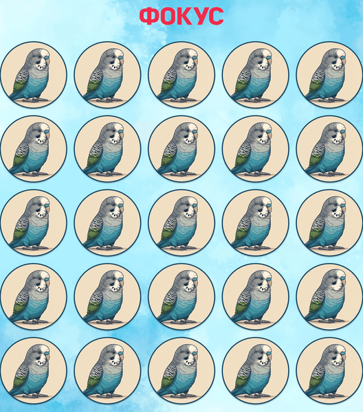 Попугай, визуальная головоломка, тест, проверка зрения, тренировка памяти, задача, тест, найти отличие, найдите попугая