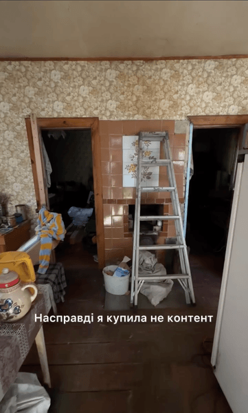 Киевляне купили дом в деревне