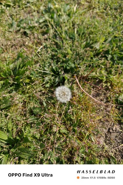 Фото на Oppo Find X9 Ultra Фото на Oppo Find X9 Ultra