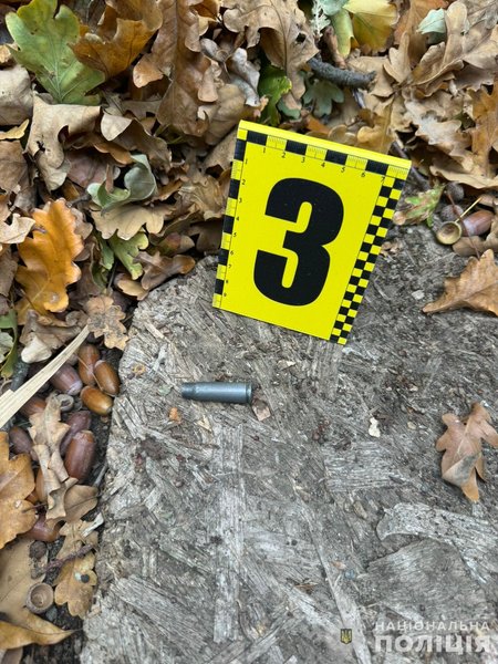 Шевчик погиб, Шевчик самоубийство