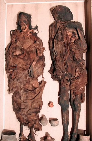 мумия, Южная Америка