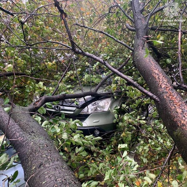 Украина, непогода, ураганный ветер, сильный дождь