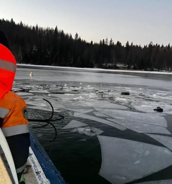 Собака Белка четыре дня ждала на берегу реки Уфы своего хозяина, который утонул