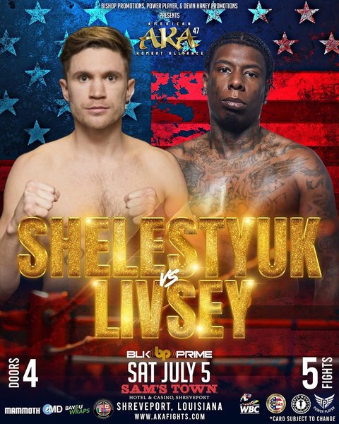 Афиша поединка Шелестюка и Ливси