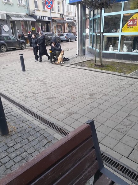 Военный, пес, боец, мужчина