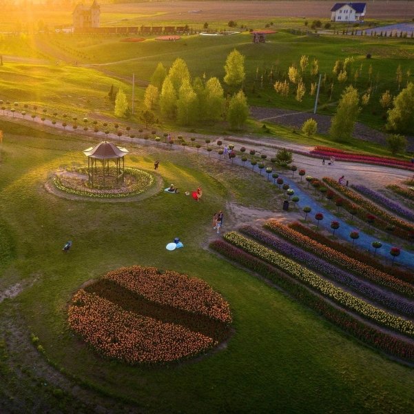 Добропарк 2021 року тут було висаджено майже 4 млн тюльпанів