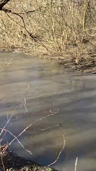Купити будинок в селі Хата в селі, огляд