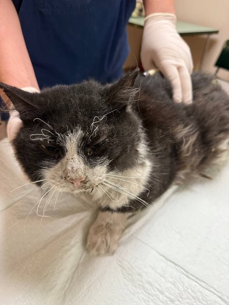 Удар по Киеву пострадавшие