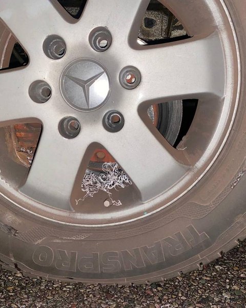 Група Антитіла потрапила у ДТП