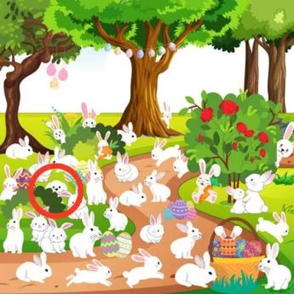 пъзел със зайци 2