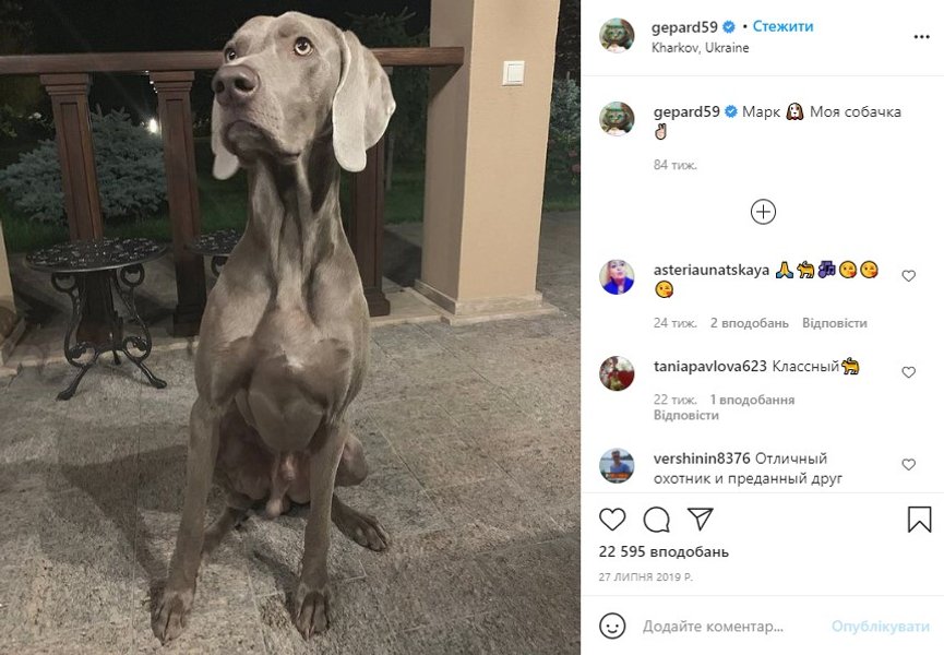 собаки, Геннадий Кернес